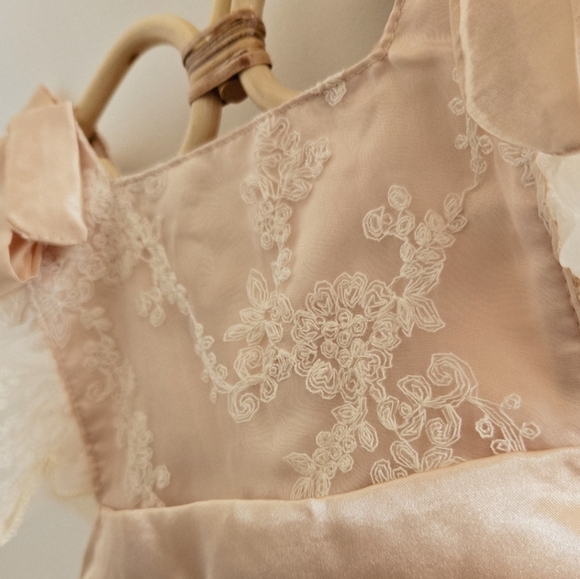 Baby Cake Smash Dress - Picture 3 of 5